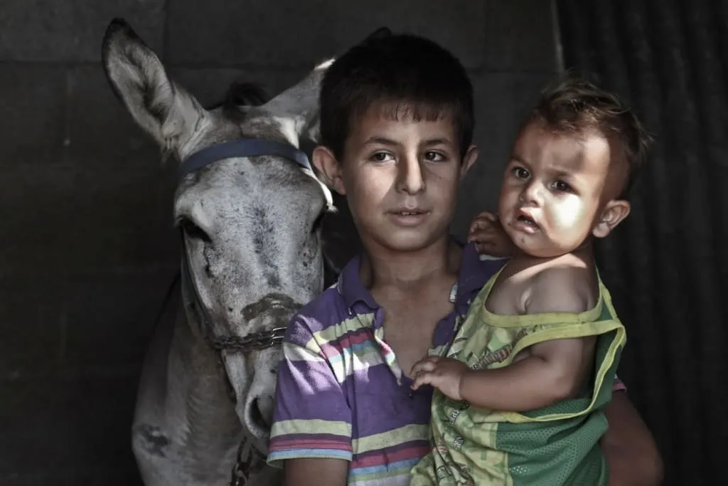 Hunger Crisis Appeal